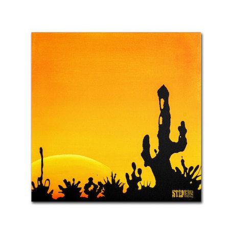 Roderick Stevens 'Saguaro Sunset' Canvas Art,14x14
